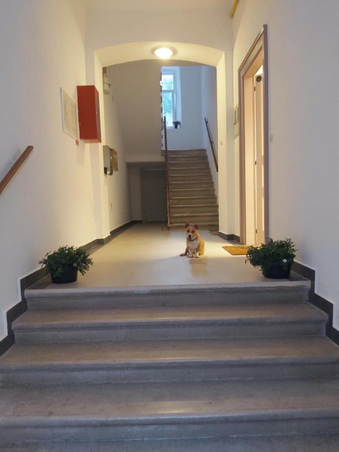 Apartman Draguc Пула Экстерьер фото